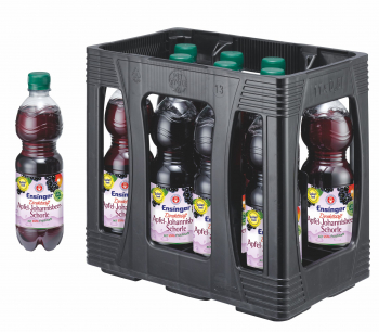 Ensinger Direktsaft Apfel-Johannisbeer-Schorle 11 x 0,5 Liter (PET/Mehrweg)